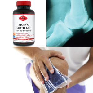 Shark Cartilage Joint Support